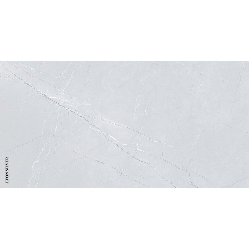 Cobra Silver, Céramique 24x48