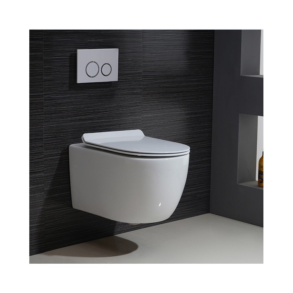 Ogi, toilette murale