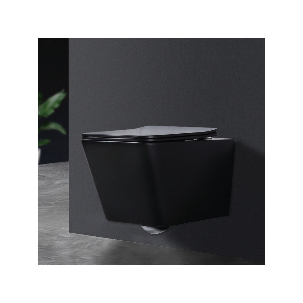 Esheia noire, toilette murale