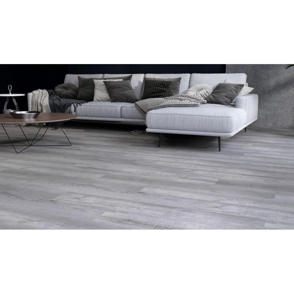 Koala, Collection Luxo, Vynil clic spc