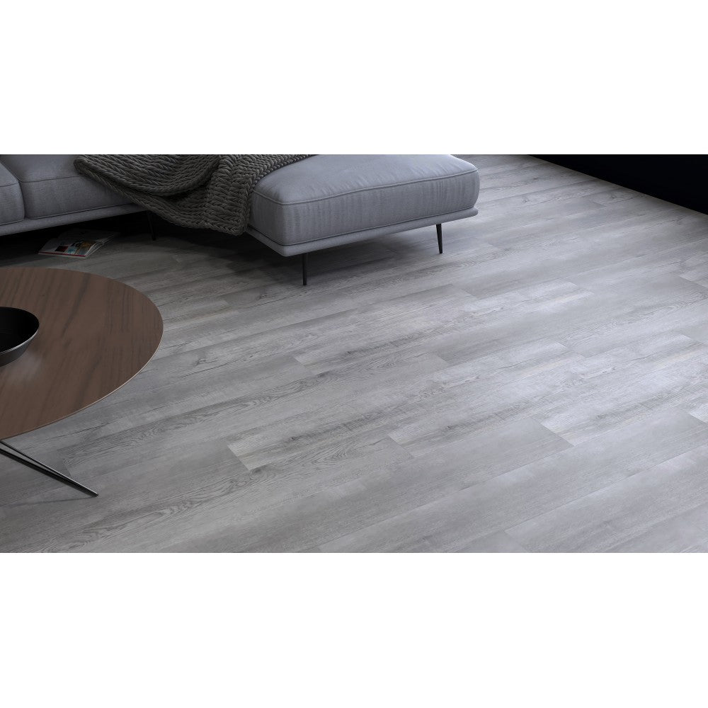 Koala, Collection Luxo, Vynil clic spc