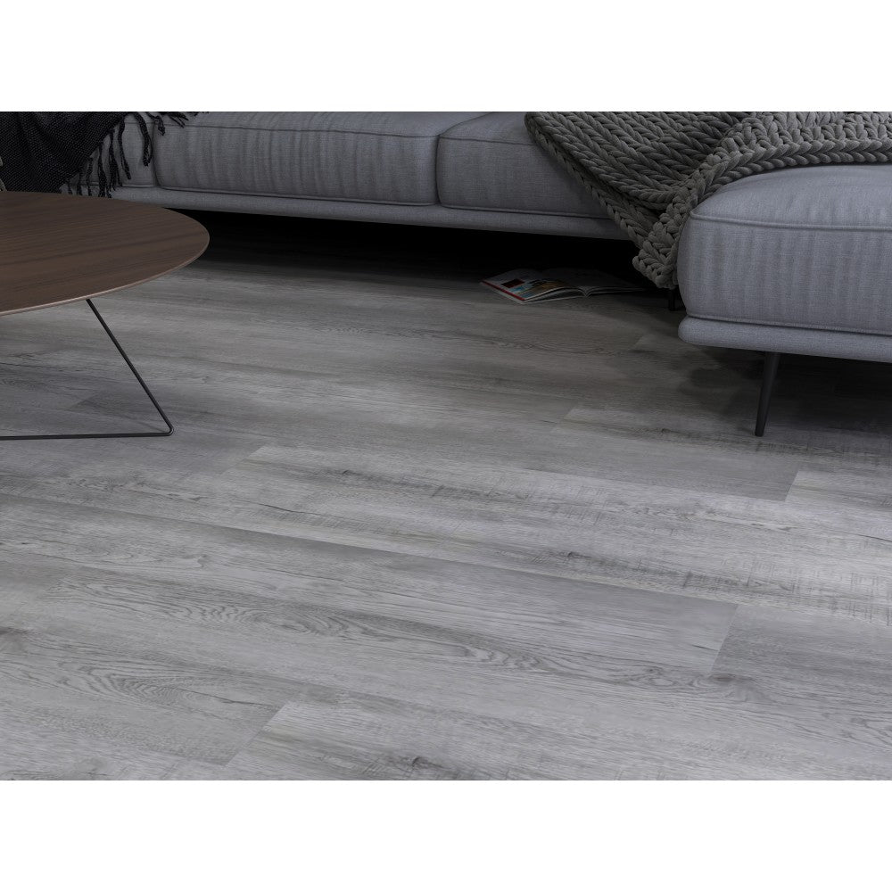 Koala, Collection Luxo, Vynil clic spc