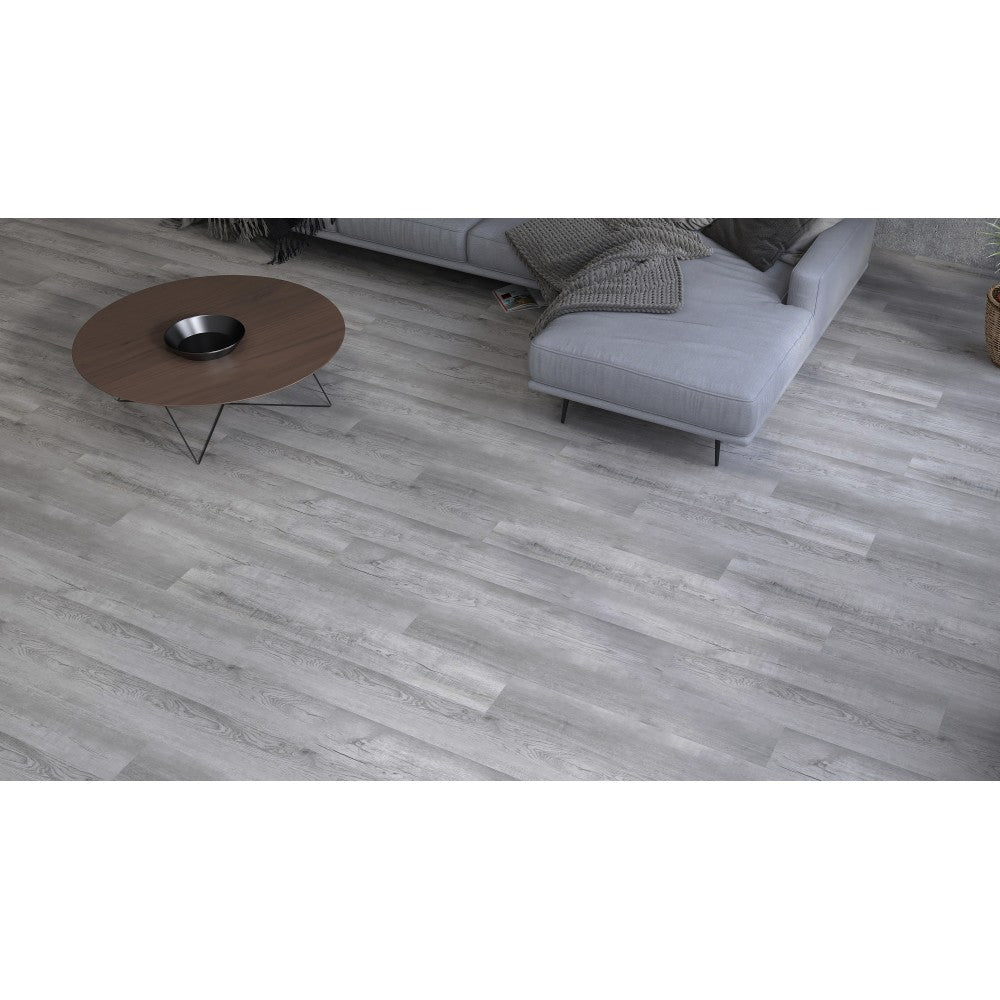 Koala, Collection Luxo, Vynil clic spc