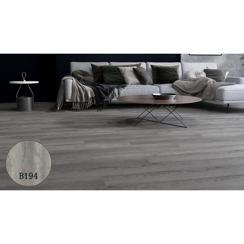 Koala, Collection Luxo, Vynil clic spc