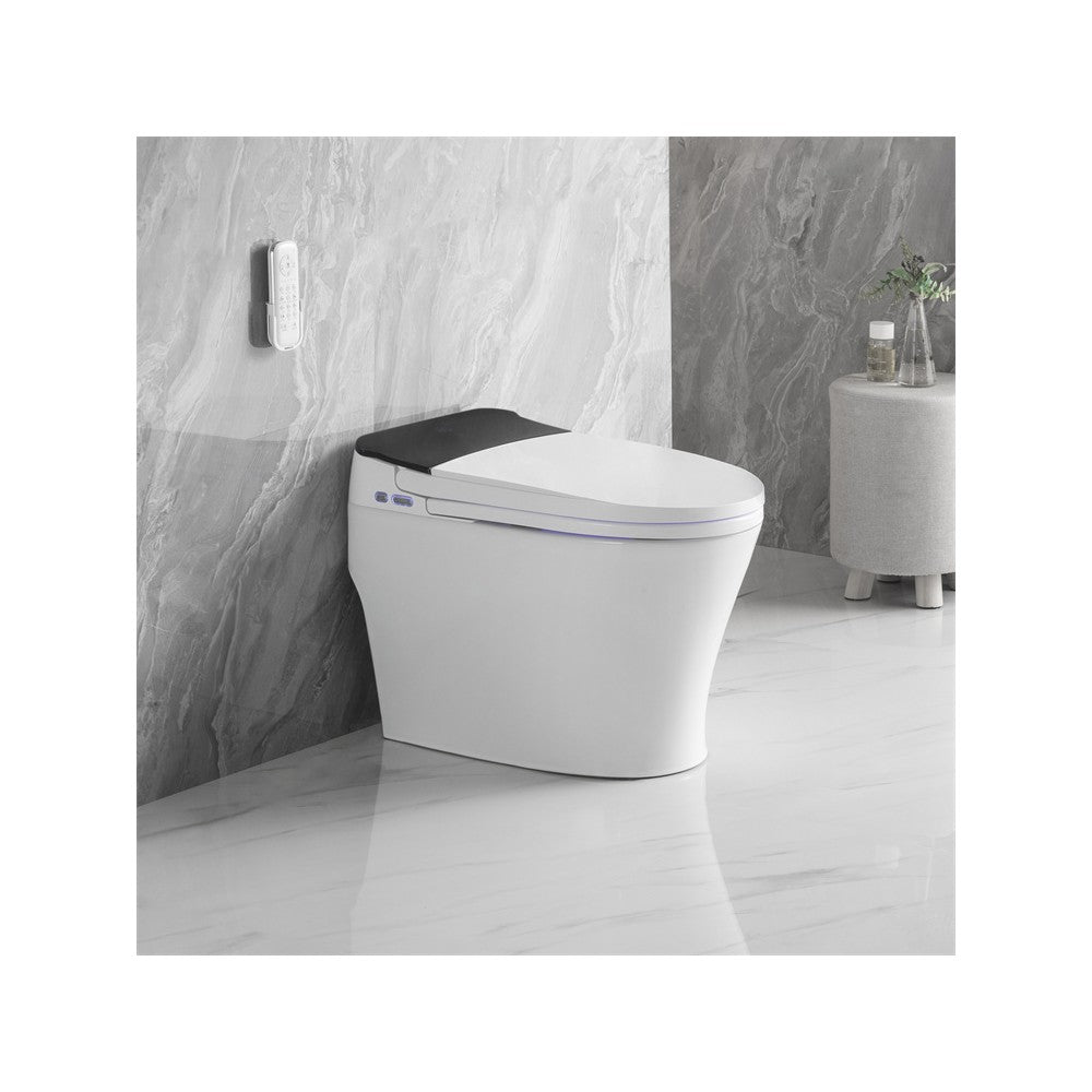 Vasio, Toilette monopièce Intelligente