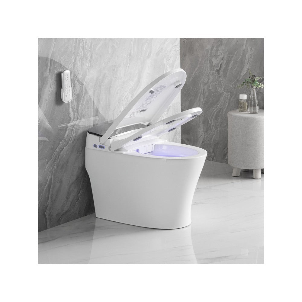 Vasio, Toilette monopièce Intelligente