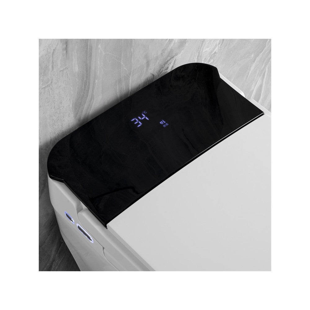 Vasio, Toilette monopièce Intelligente