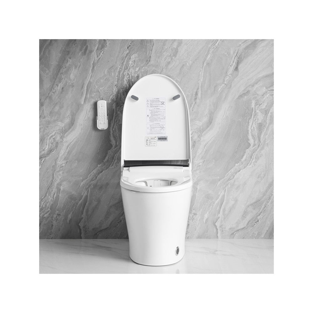 Vasio, Toilette monopièce Intelligente