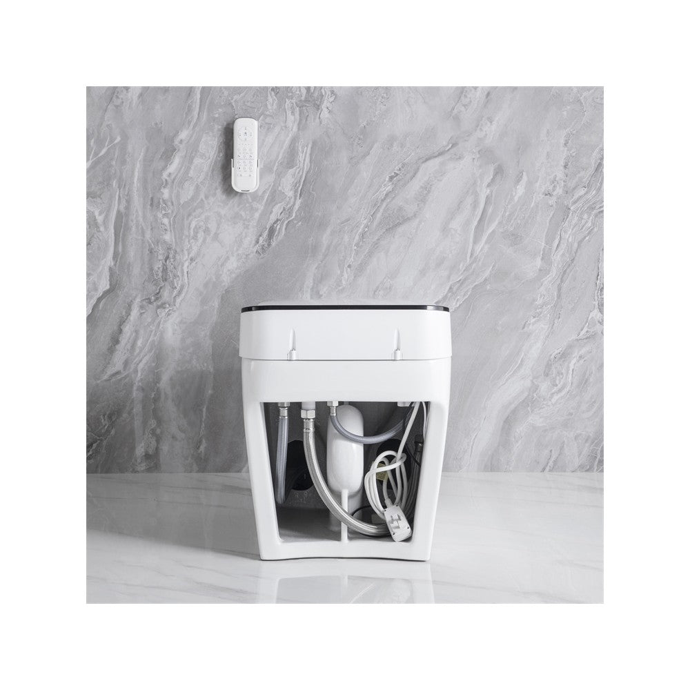 Vasio, Toilette monopièce Intelligente