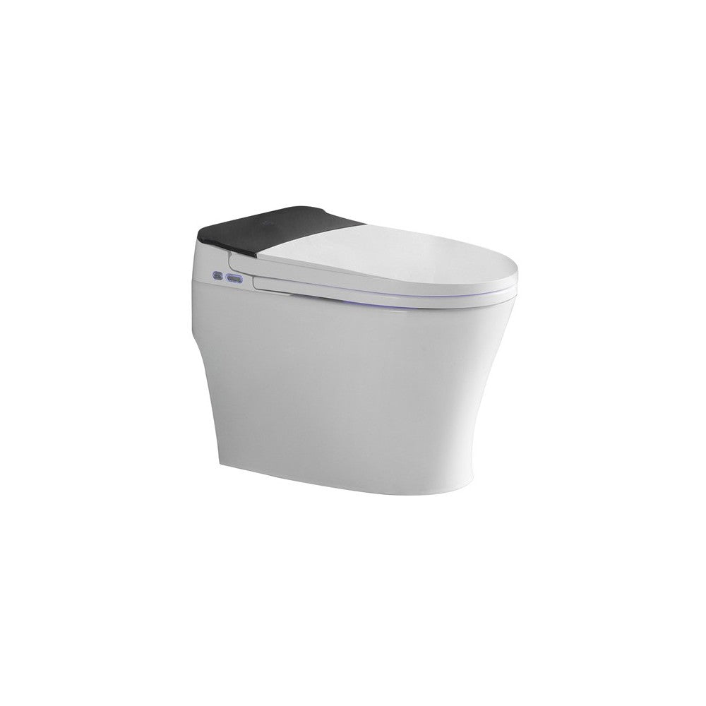 Vasio, Toilette monopièce Intelligente