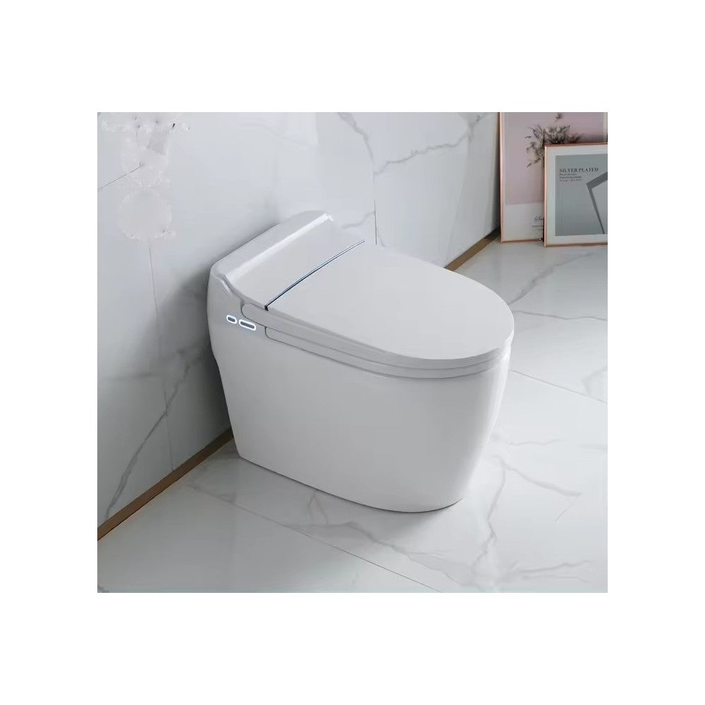 Robo, Toilette monopièce Intelligente