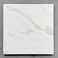 Céramique 24×24”, Collection Pavora